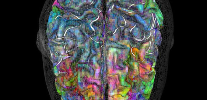 brain image when hearing stories